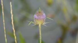 2014 vakantie lech en wagrain 1 38